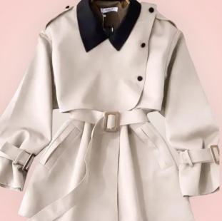 بليزر شمواه